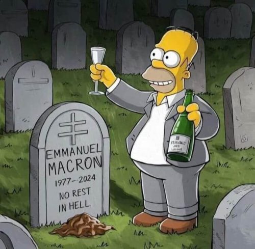 simpsonlar-macron-cizim