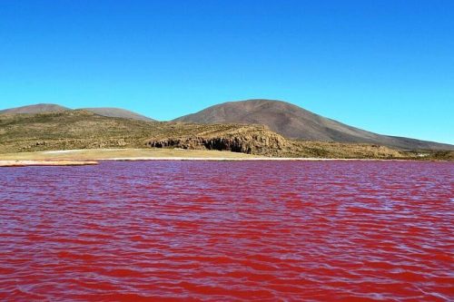 laguna-roja