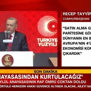 satin-alma-gucu-paritesine-gore-ulkemiz