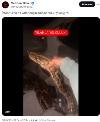 aracina-dev-yilan-girdi
