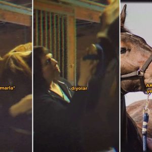 timarhane-at-timarlayan-akil-hastasi