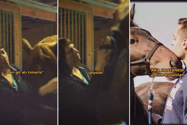 timarhane-at-timarlayan-akil-hastasi