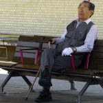 japon-is-adami-sakura