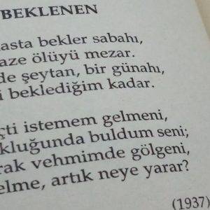 beklenen-siiri