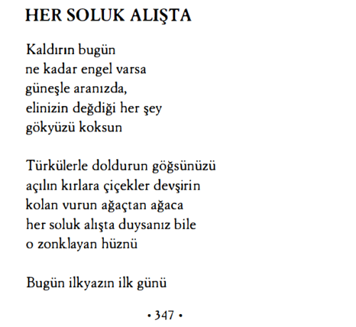 her-soluk-alista