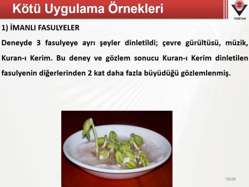 imanli-fasulyeler
