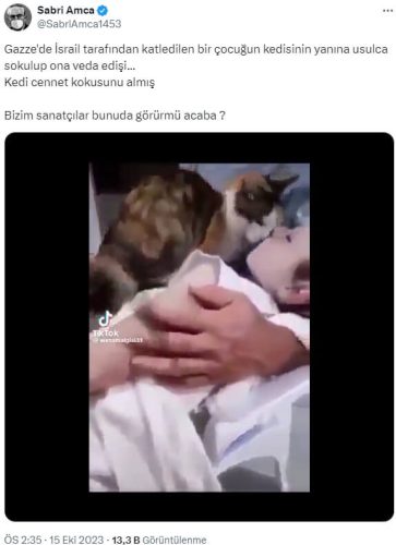 kedi-veda-cocuk