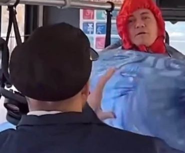 otobuse-hamak