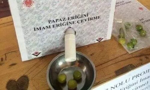 papaz-erigini-imam-erigine-cevirme-projesi