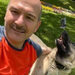 Eski İçişleri Bakanı Süleyman Soylu'nun Sokak Köpeklerinin Uyutulması Önerisine Karşı Çıktığı İddiası suleyman-soylu-kopek