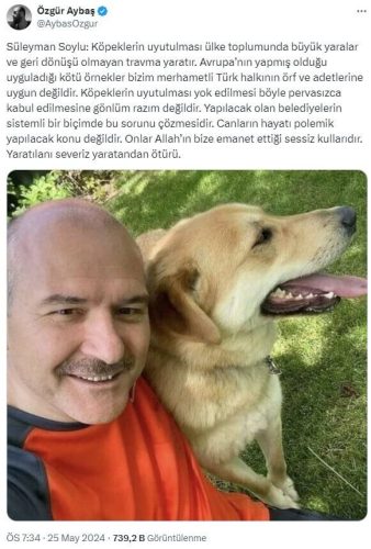 suleyman-soylu-kopeklerin-uyutulmasi