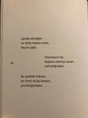 utanmasin-hic-kuslara-mektup-yazan-yalnizligindan