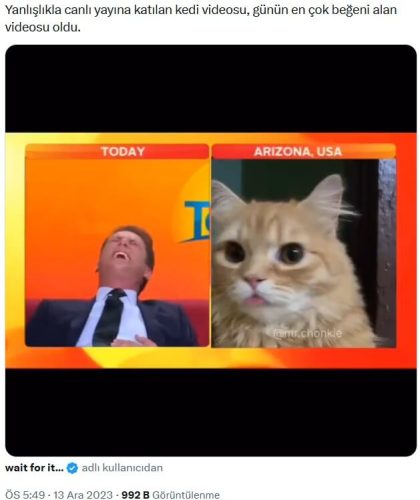 yanlislikla-canli-yayina-katilan-kedi