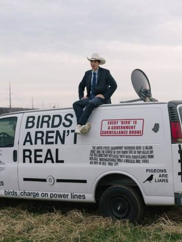 birds-arent-real