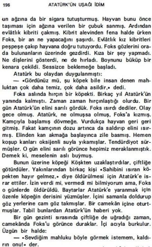 ataturk foks kopegi olumu