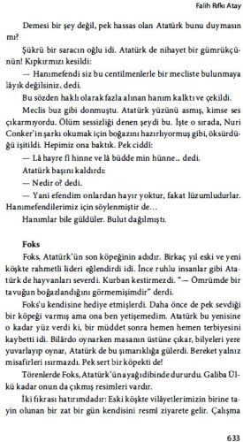 ataturk foks kopegi olumu