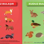 kuduz-bulasan-hayvanlar