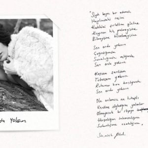 sen-orda-yoksun-goksel