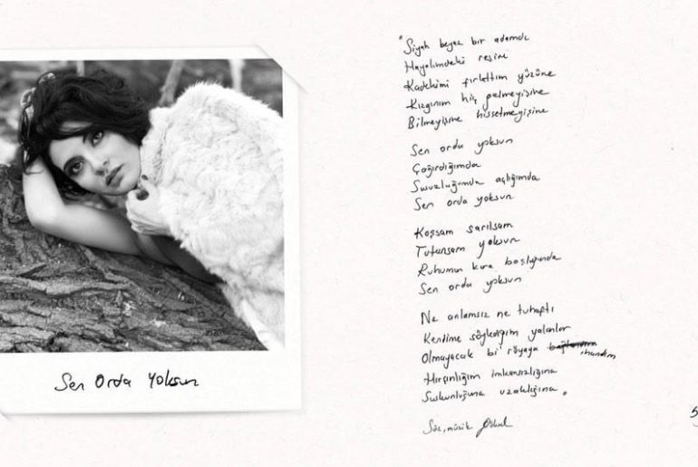 sen-orda-yoksun-goksel