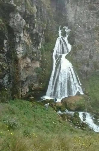 gelin-selalesi