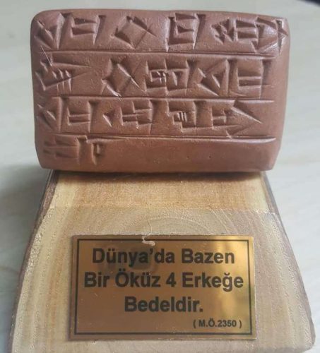 dunyada-bazen-bir-okuz-4-erkege-bedel