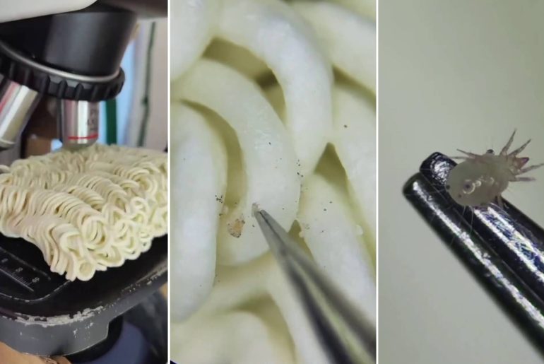 mikroskop-altinda-noodle