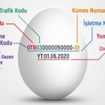 Üzerindeki Numara 2, 3 ve 4 İle Başlayan Yumurtaların İlaçlı Olduğu İddiası yumurta-kodu