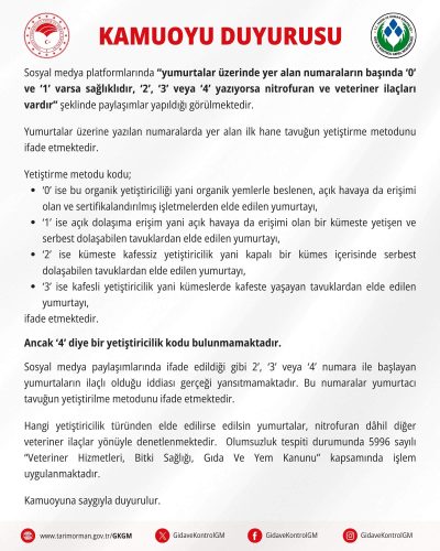 yumurta-numaralarin-anlami