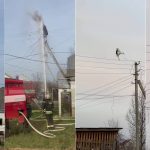 "Yuvası Yıkılan Leyleğin Üzüntüsü" Yorumuyla Paylaşılan Video yuvasi-yikilan-leylek