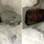 Gazze'de Enkaz Altında Kalan Bebeğe Ait Sanılan Video enkaz-altinda-bebek-iddiasi