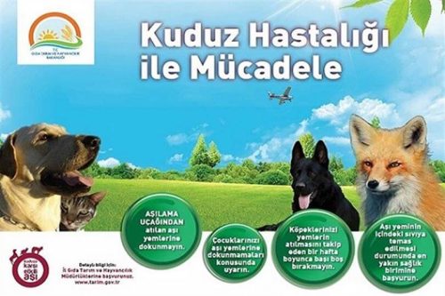 ucaktan-kuduz-yem
