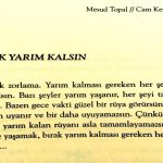 "Bırak Yarım Kalsın" Adlı Şiirin Can Yücel'e Ait Olduğu İddiası birak-yarim-kalsin