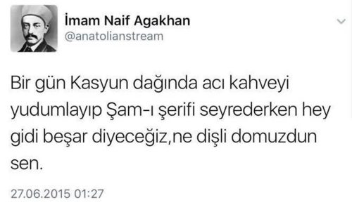 birgun-kasyun-daginda