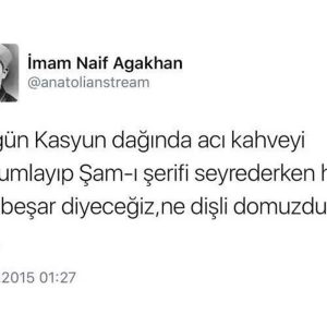 kasyun-daginda-kahve