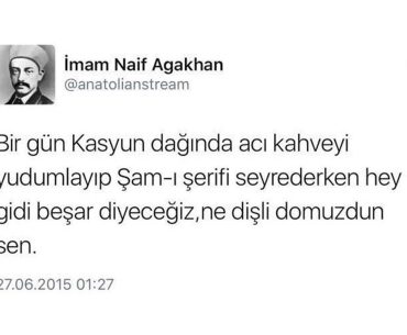 kasyun-daginda-kahve