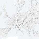 "Tüm Yollar Roma'ya Çıkar" Temalı "Yol Ağı Haritası" tum-yollar-romaya-cikar