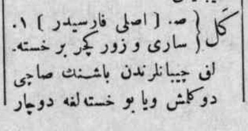 osmanlica-kel-kamusi-turki