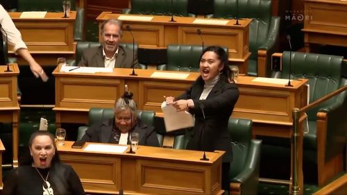 haka-dansi-yapan-milletvekili