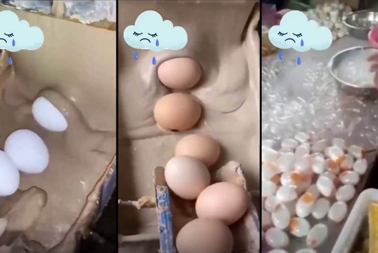 yapay-yumurta-uretimi-sanilan