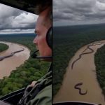 Amazon Nehri'nde Dev Anakonda ve Piton Görüldüğü İddiasıyla Paylaşılan Yapay Zekâ Ürünü Görüntüler anakonda-nehir