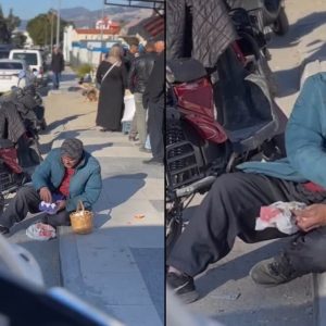 marketten-aldigi-yumurtayi-koy-yumurtasi