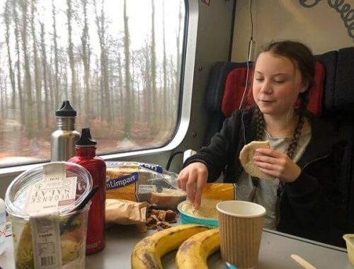 greta-thunberg-yemek
