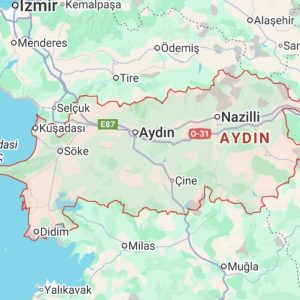 aydin-harita
