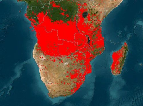 nasa-canli-isi-haritasi-afrika