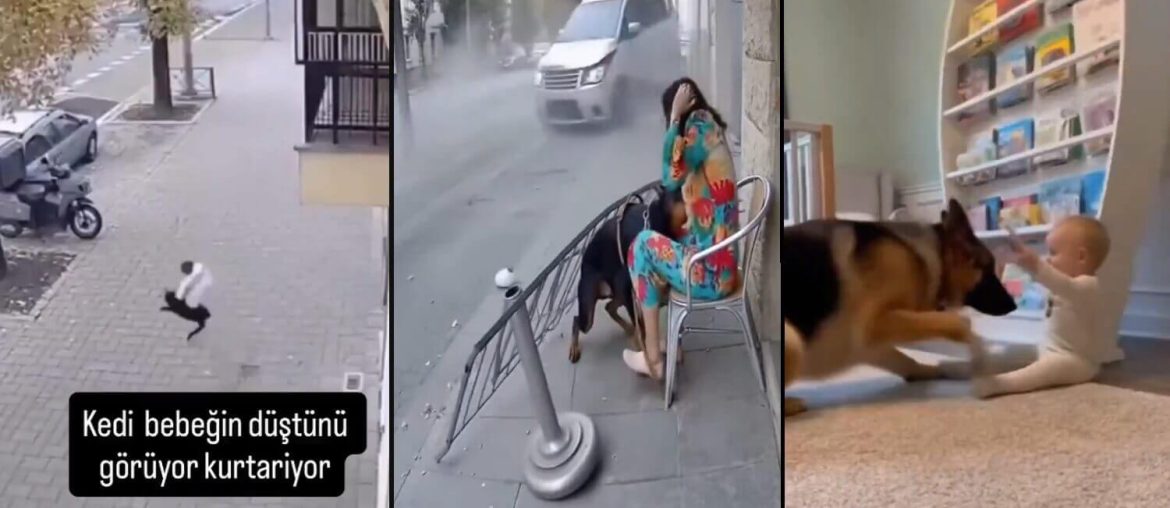 hayvanlarin-insanlari-kurtardigi