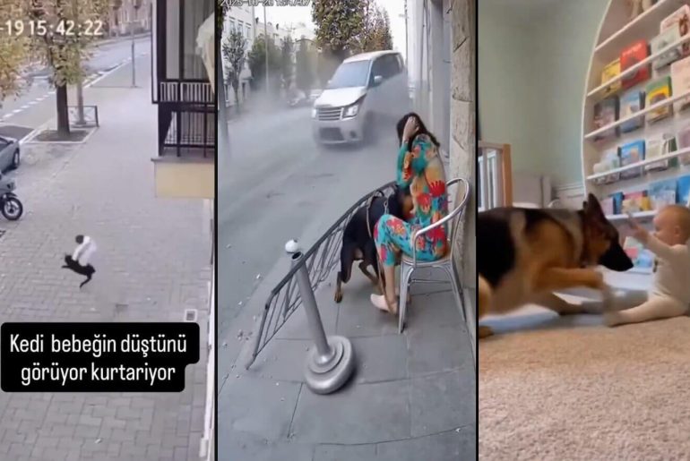 Hayvanların Tehlikeyi Önceden Sezip İnsanları Kazadan Kurtardığı Ana Ait Sanılan Yapay Zekâ Çıktısı Görüntüler hayvanlarin-insanlari-kurtardigi
