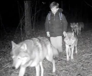 “Kurt Sürüsüne Katılan Çocuk” Kurgusu kurt-surusu-cocuk