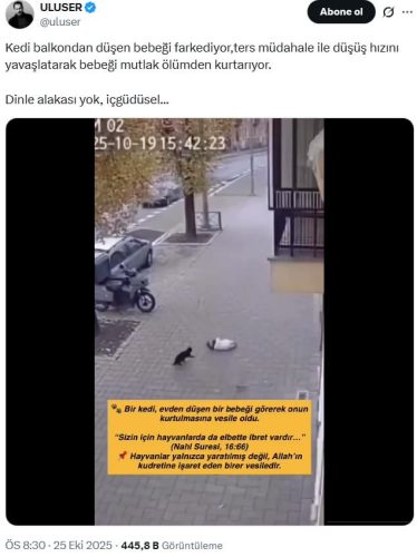 bebegi-yakalayan-kedi