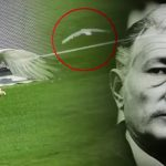 Süleyman Seba'ya Ait Sanılan "Sizi Özlediğimde Yanınıza Bir Martı Olarak Geleceğim" Sözü suleyman-seba-marti