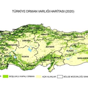 turkiye-orman-varligi-haritasi-2020
